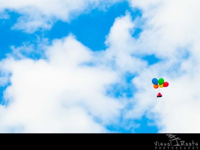 Germany,wedding,Black forest