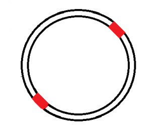 photo diagonalribbon.png