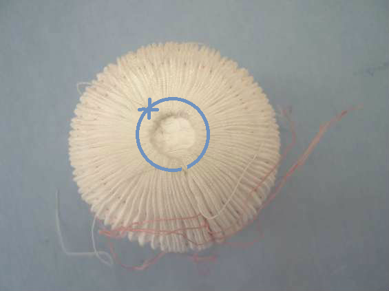 photo 013b.png