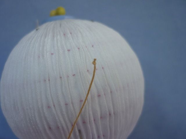 photo 089.jpg