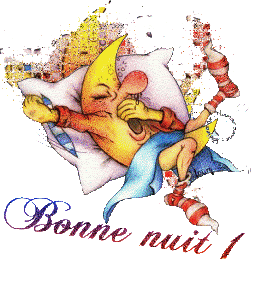 bonnenuitbaille.gif