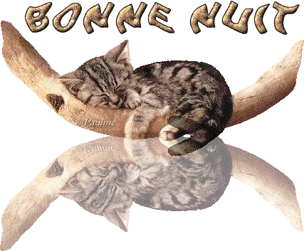 nuit8.gif bonne nuit chat image by cannetoise48