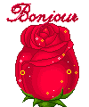 bonjourboutonrose.gif