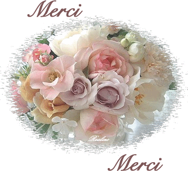 merci bouquet roses Pictures, Images and Photos