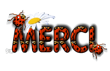 MERCIcoccinelles.gif merci coccinelle image by cannetoise48