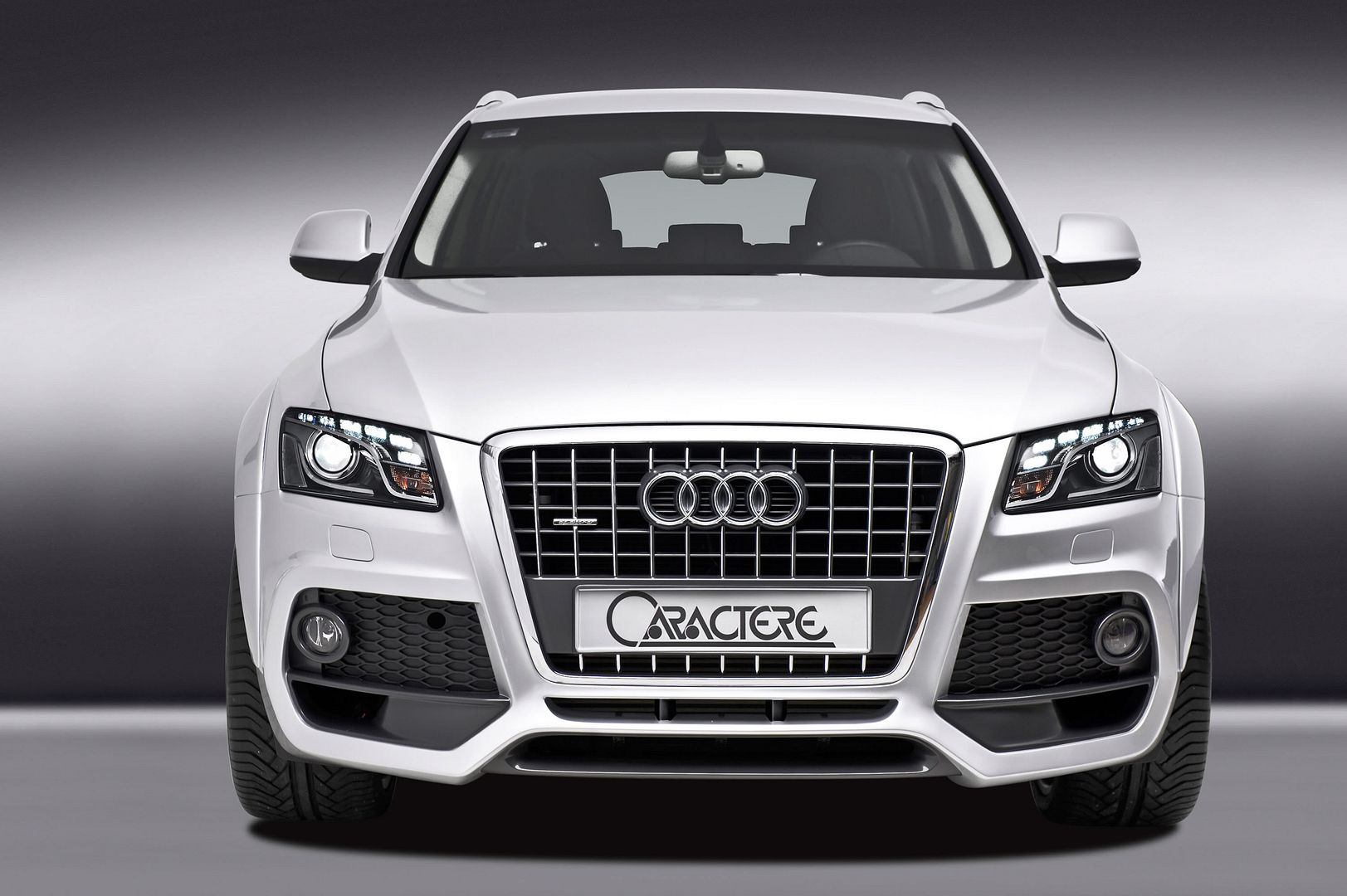 2009-audi-q5-caractere-01.jpg