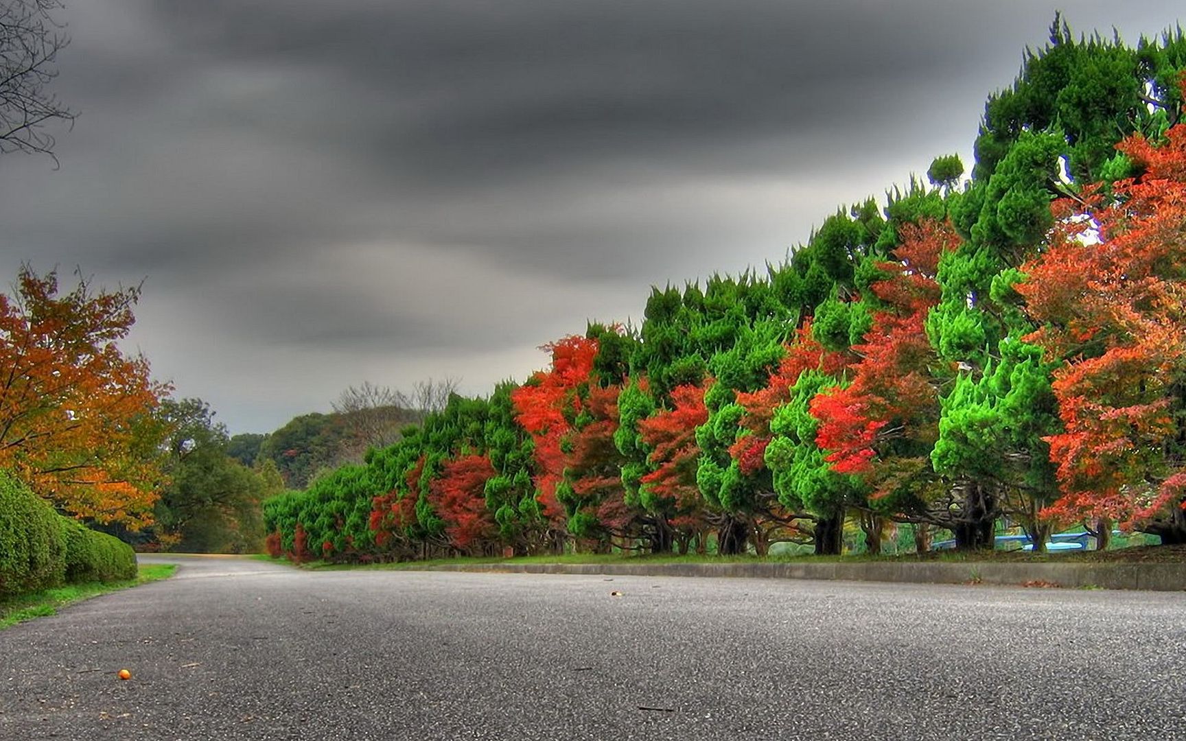 WideWallpapers_erdals_115.jpg