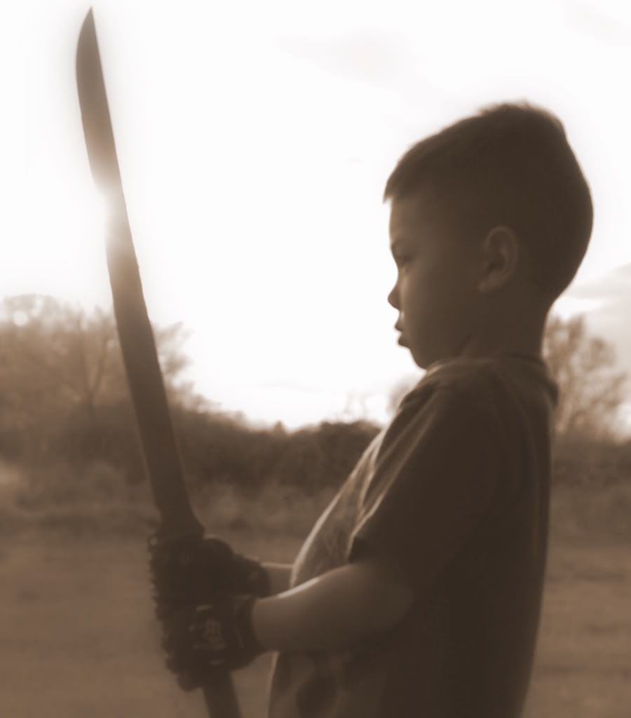 [Linked Image from i577.photobucket.com]