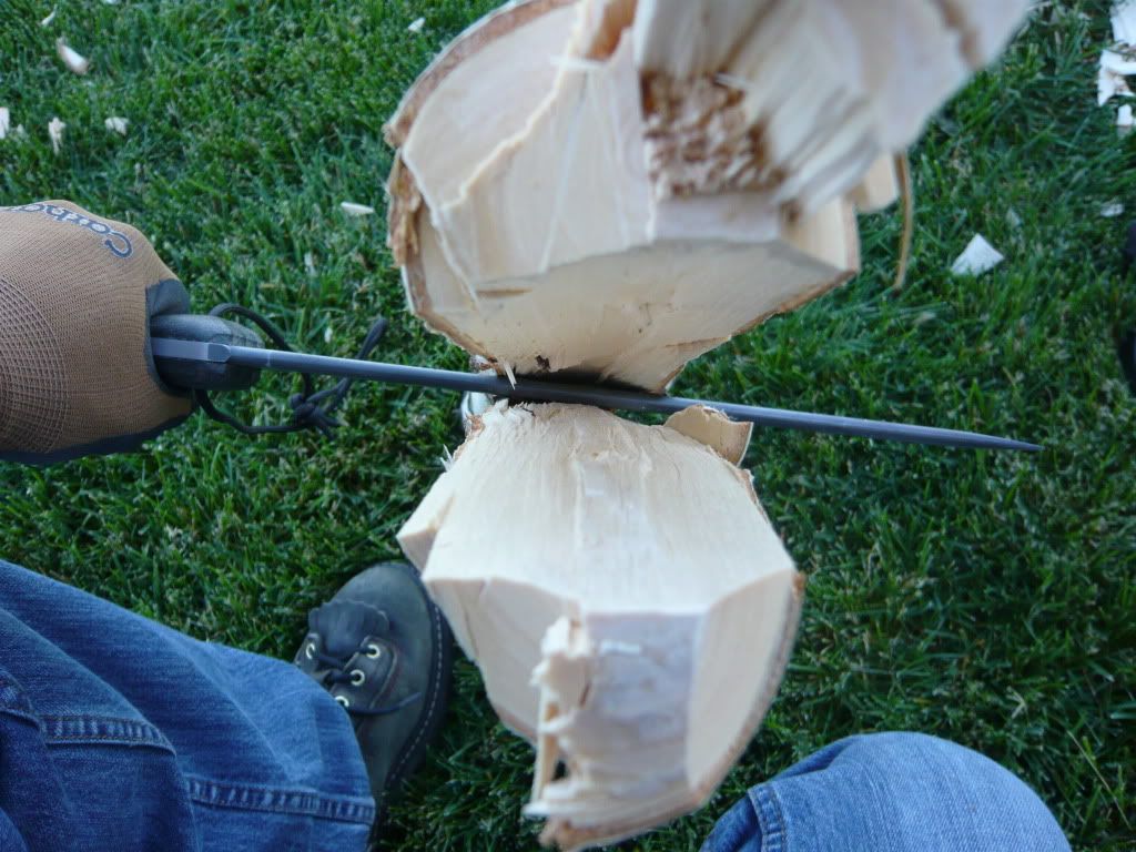[Linked Image from i577.photobucket.com]