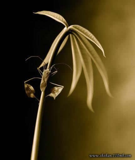 Interesting Photo Picture