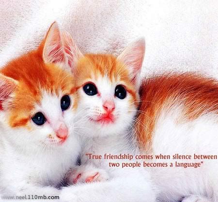 Quote Photo Picture