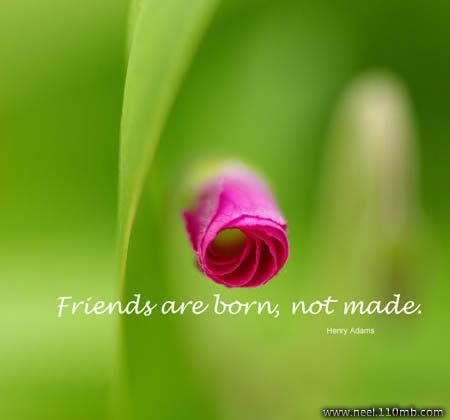 Quote Photo Picture