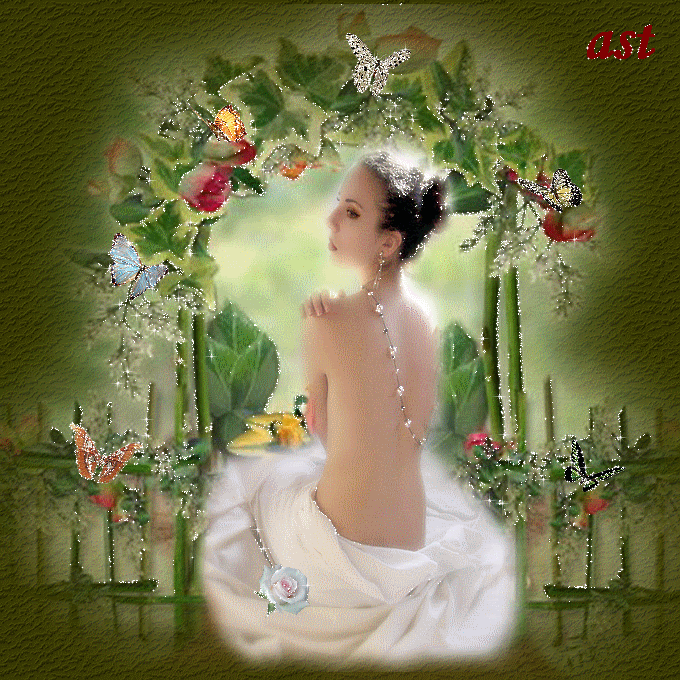 photo omgl9wlq.gif