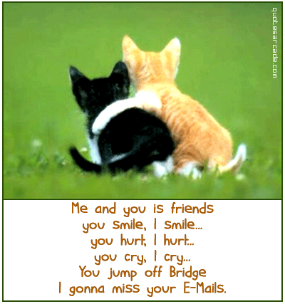 quotes about best friendship. short funny quotes about best