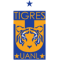 2tigres_zpsxl7flfet.png