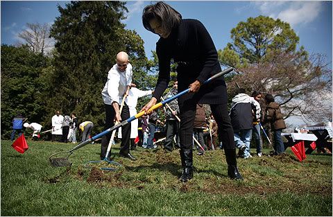 Obama Garden White House