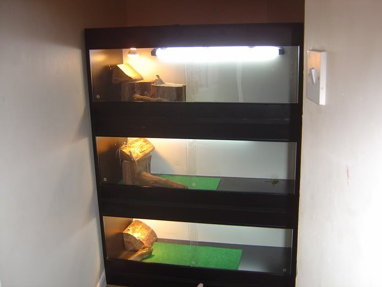 Alternatives to reptile carpet? Reptile Forums