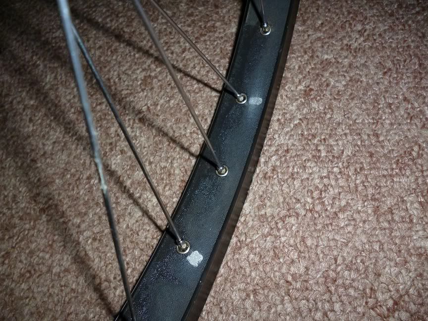 Spokes coming loose tightened last week Singletrack World Magazine