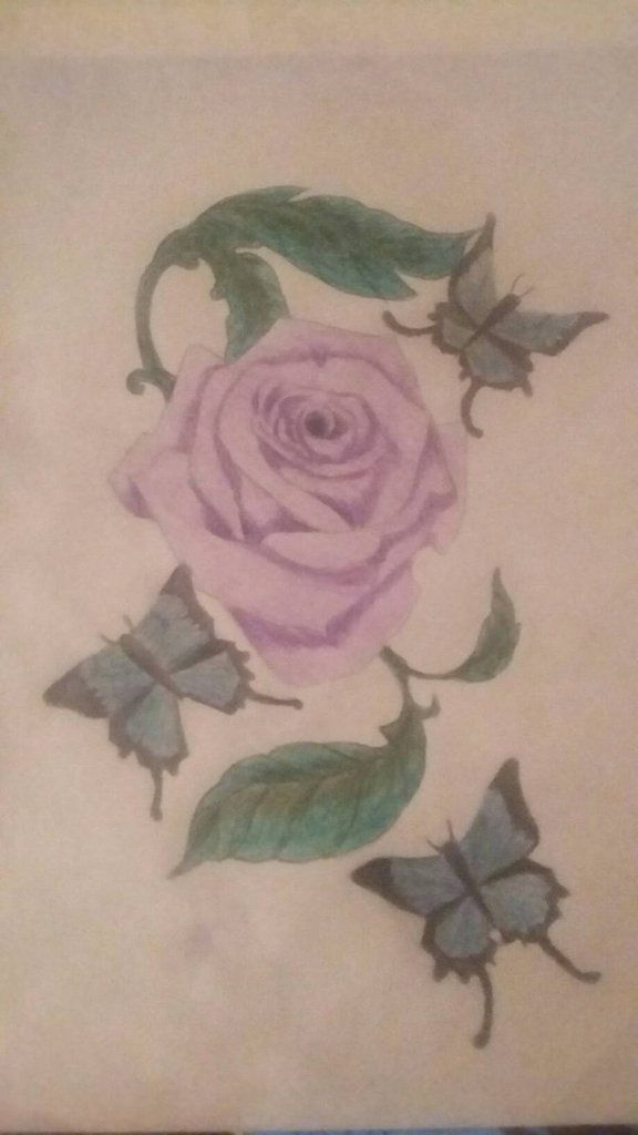 rose_and_butterflies_by_drawingisbusines
