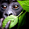 photo welovestockch862_zpsurhuzbgd.png