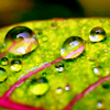 photo blamestock108_zpsf9f8ca86.png
