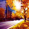 photo blamestock306_zps33ce56ea.png